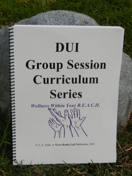 DUI Group Session Curriculum Series